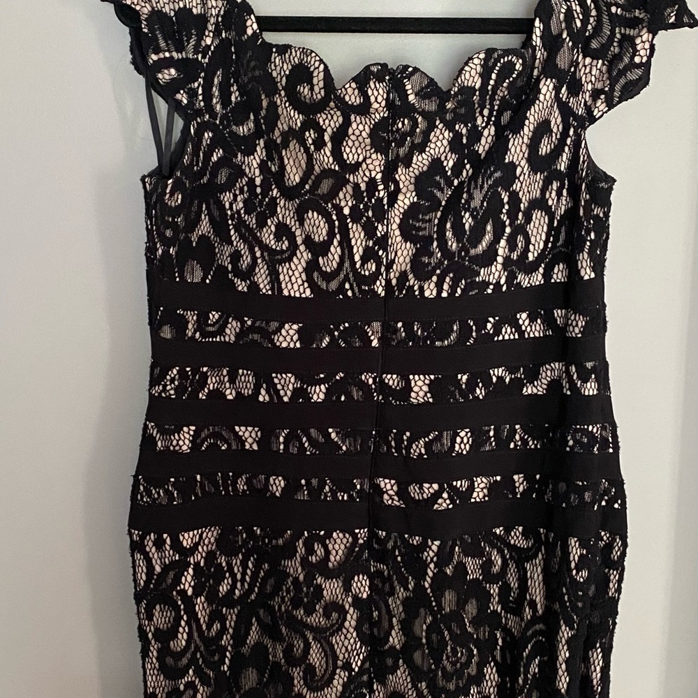 Evening dress by Cache , size 14.  Excellent condition, worn once - Picture 2 of 7